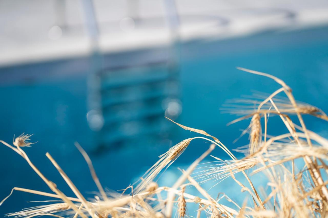 Santa Marina Syros Villa Liaropa ภายนอก รูปภาพ